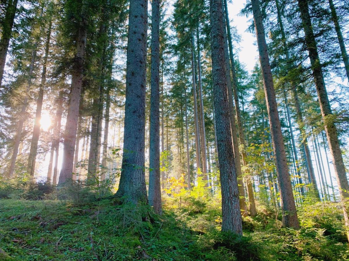Ausseerhaus Im Gruenen Aussere Kainisch Luaran gambar